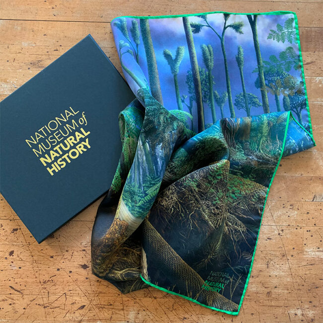 National Museum of Natural History recognition gift